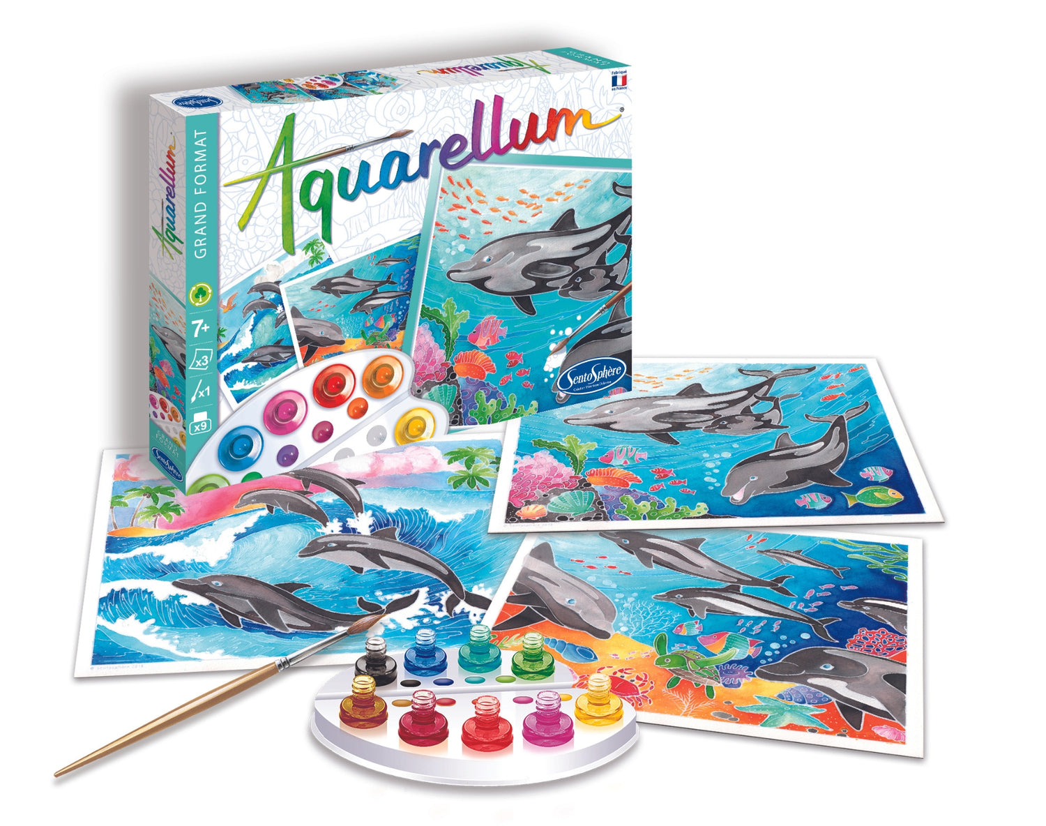 Aquarellum - Delfíny