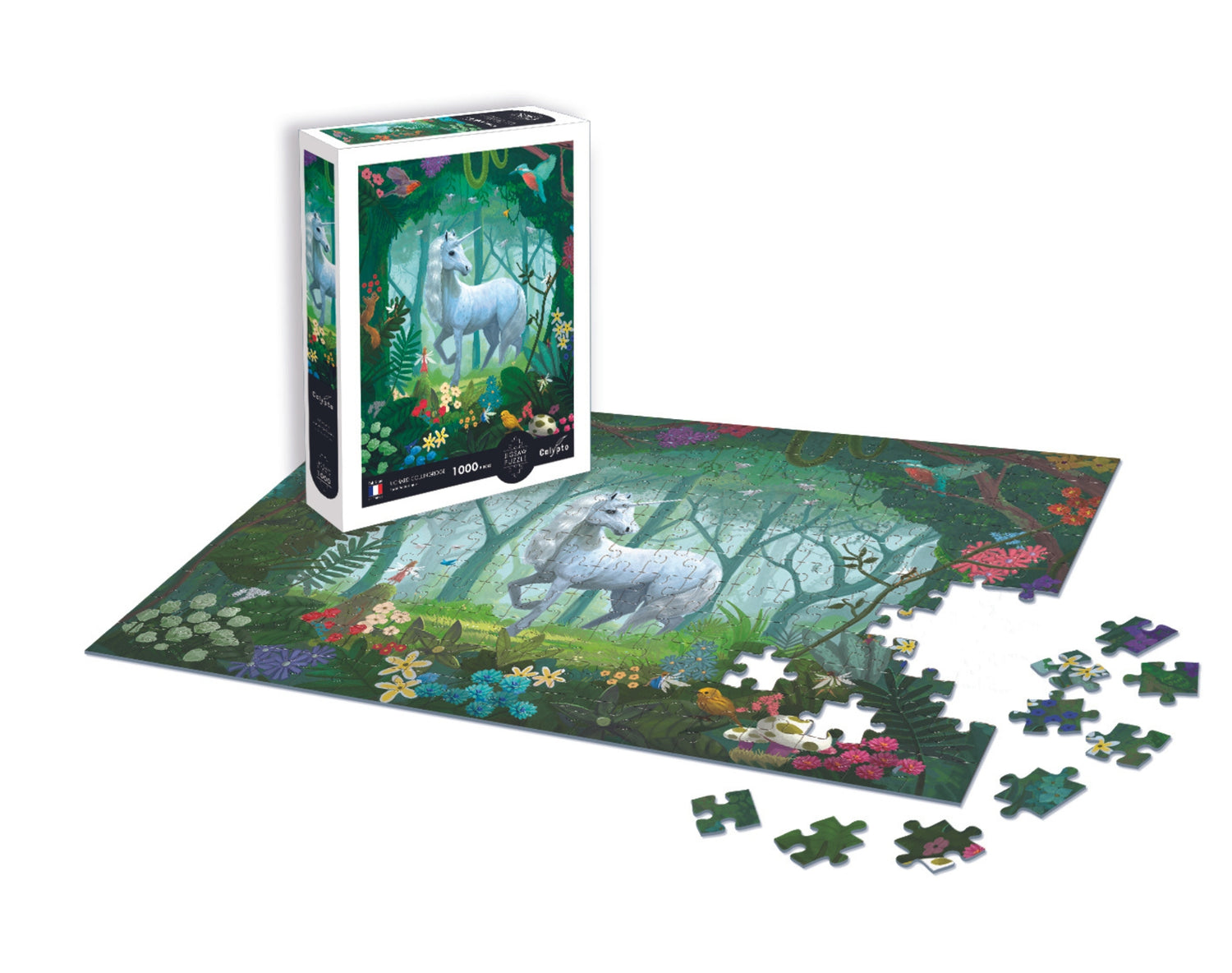 Puzzle 1000 kusov - Magický les - Richard Collingridge