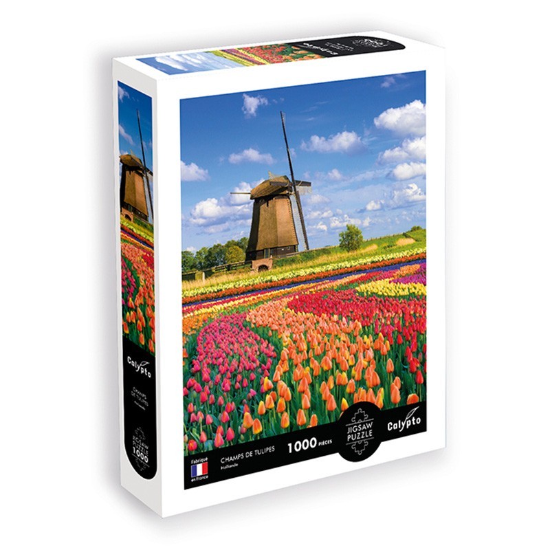 Puzzle 1000 kusov - Krajina - Polia tulipánov - Holandsko