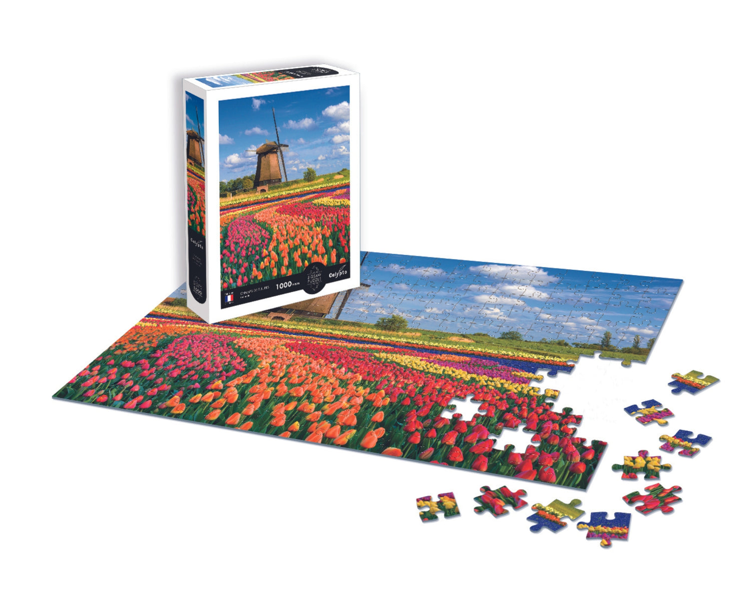 Puzzle 1000 kusov - Krajina - Polia tulipánov - Holandsko